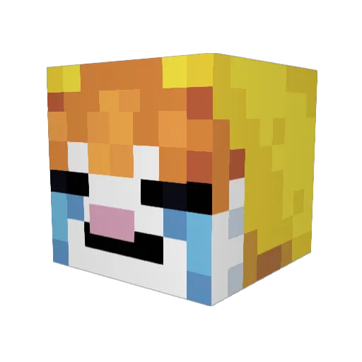 Mr_t0es Minecraft avatar head, 3D render