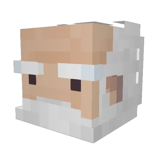 Mr_the_Wizzard Minecraft avatar head, 3D render