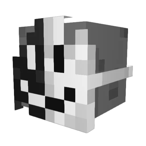 Mr_treg212 Minecraft avatar head, 3D render