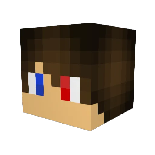 Mr_tunafish23 Minecraft avatar head, 3D render
