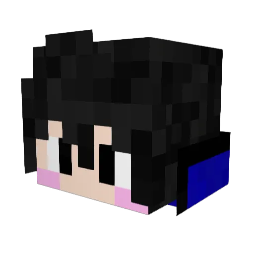 Mr_vegetable711 Minecraft avatar head, 3D render