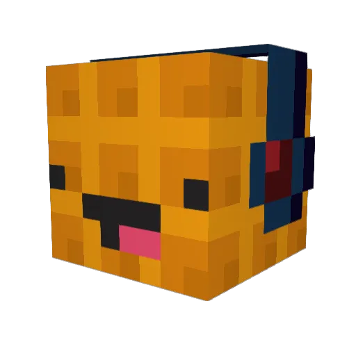 Mr_waffles366 Minecraft avatar head, 3D render