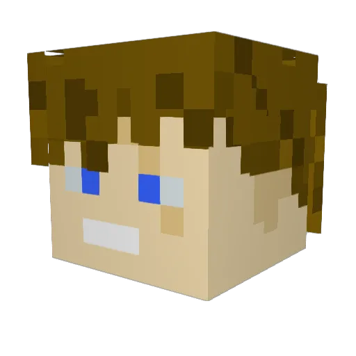 Mr_wise_lad Minecraft avatar head, 3D render