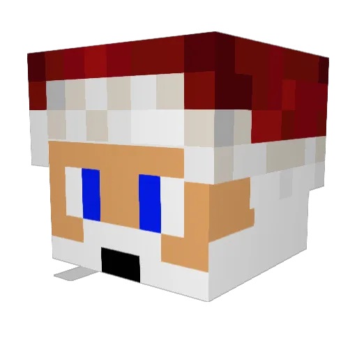 Mr_ww7 Minecraft avatar head, 3D render