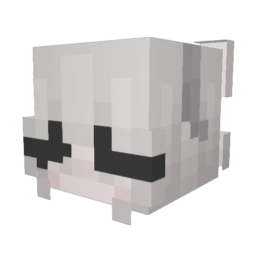 Mr_zixuan Minecraft avatar head, 3D render