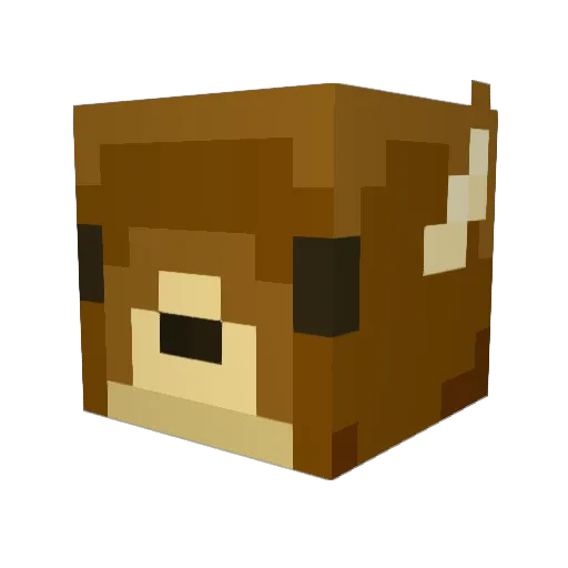 Mralybaba Minecraft avatar head, 3D render