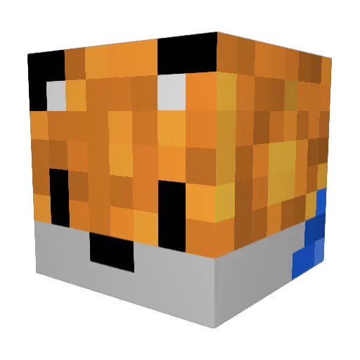 Mraus11 Minecraft avatar head, 3D render