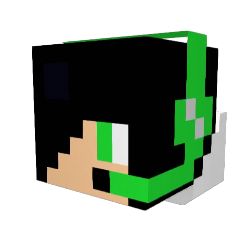 Mrbean9876 Minecraft avatar head, 3D render