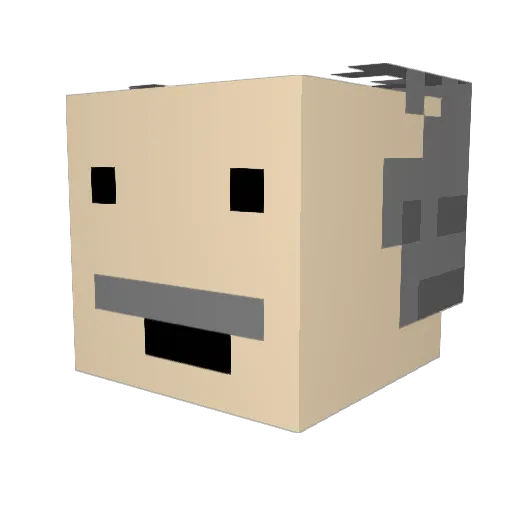 MrbigLethal Minecraft avatar head, 3D render