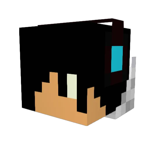 Mrbinbin Minecraft avatar head, 3D render