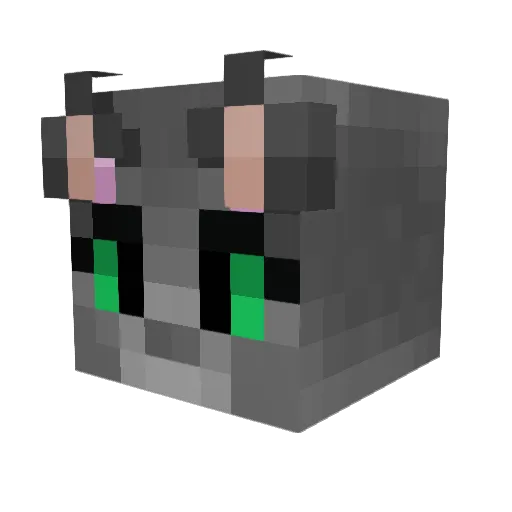 Mrcat0777 Minecraft avatar head, 3D render