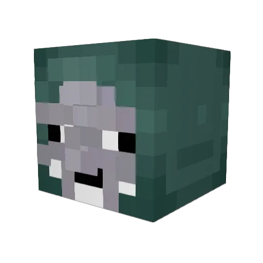 MrchicknNuggetO Minecraft avatar head, 3D render