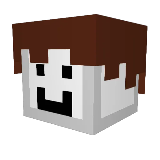 Mrchinese Minecraft avatar head, 3D render