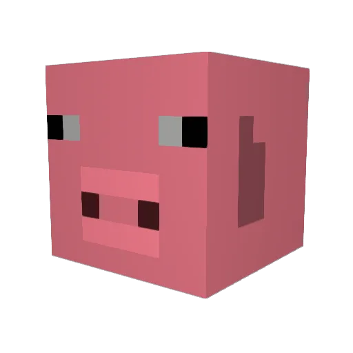 Mrcotedeporc02 Minecraft avatar head, 3D render