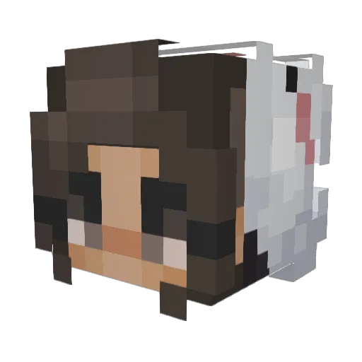 Mrcow2460 Minecraft avatar head, 3D render