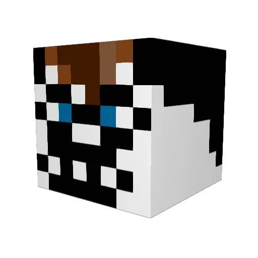 Mrcrazy3 Minecraft avatar head, 3D render