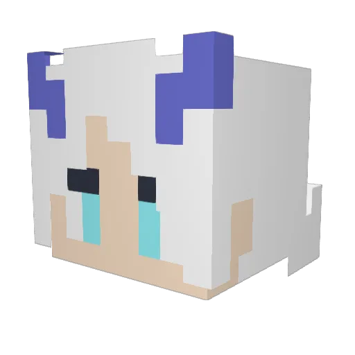 Mrcrispy878 Minecraft avatar head, 3D render