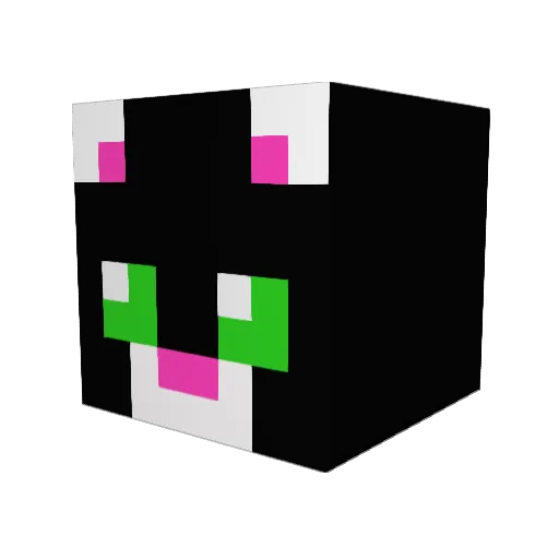 Mrcupcake9 Minecraft avatar head, 3D render