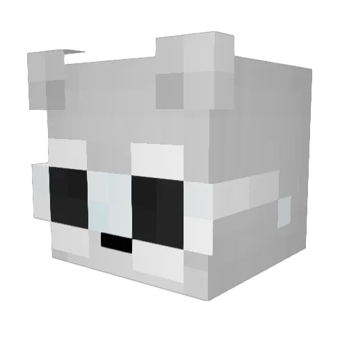 Mrcytrus Minecraft avatar head, 3D render