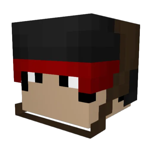Mrduck1212 Minecraft avatar head, 3D render