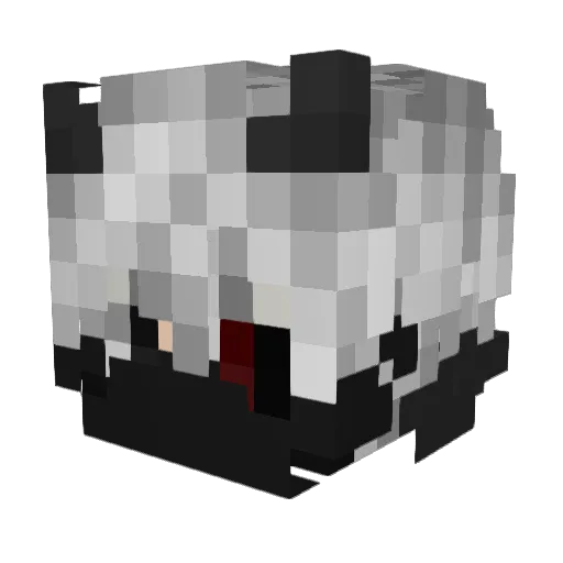 Mrduck456 Minecraft avatar head, 3D render