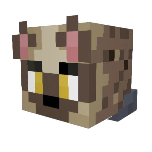 Mrfear000 Minecraft avatar head, 3D render