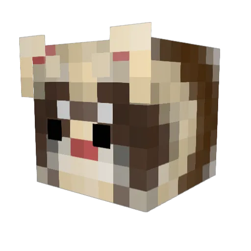 Mrferret302 Minecraft avatar head, 3D render