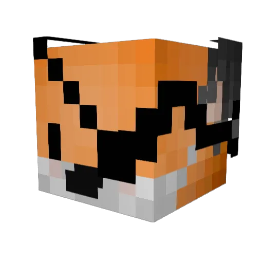 Mrfox59 Minecraft avatar head, 3D render