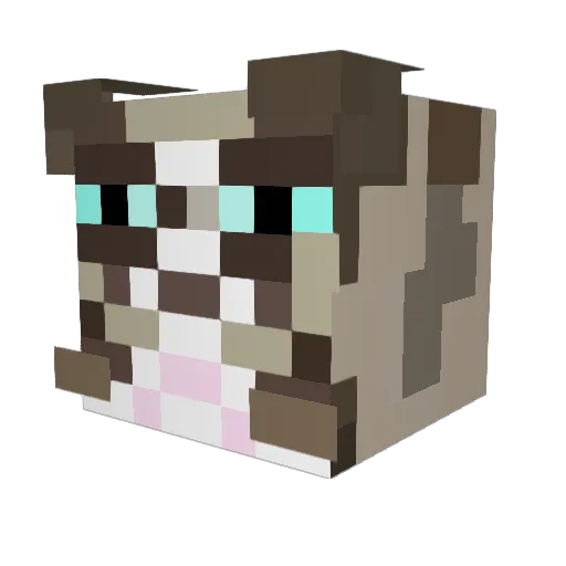 Mrfuzzy565 Minecraft avatar head, 3D render