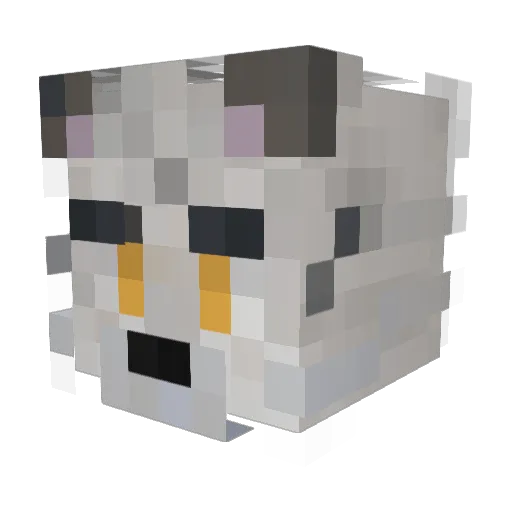 Mrheels Minecraft avatar head, 3D render