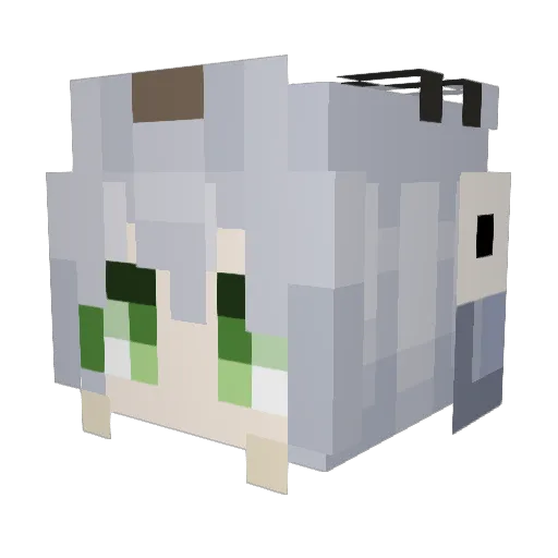 Mrlese_BOT Minecraft avatar head, 3D render