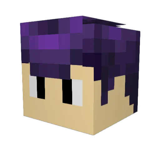 Mrllama102 Minecraft avatar head, 3D render