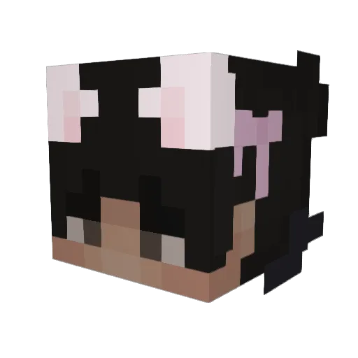 Mrm_hi Minecraft avatar head, 3D render