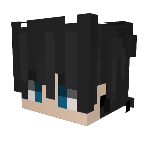 Mrnippelpippy Minecraft avatar head, 3D render