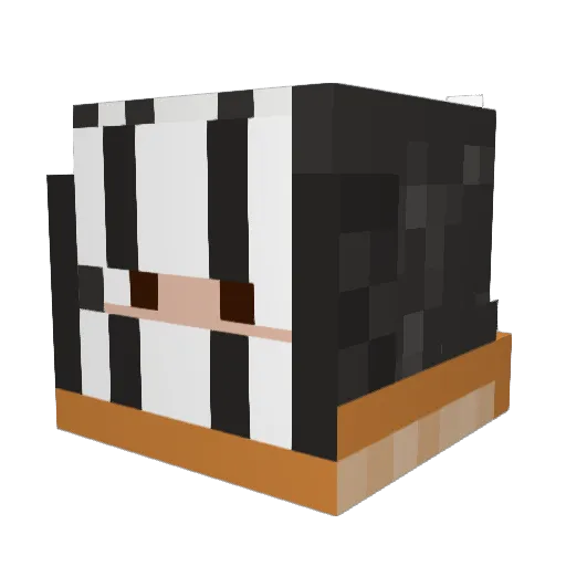 Mrnoflight1 Minecraft avatar head, 3D render