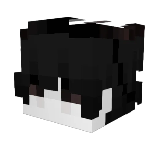 MrokDemon Minecraft avatar head, 3D render