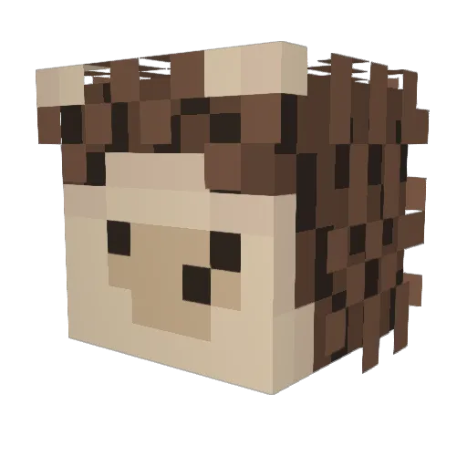 Mroku_ Minecraft avatar head, 3D render