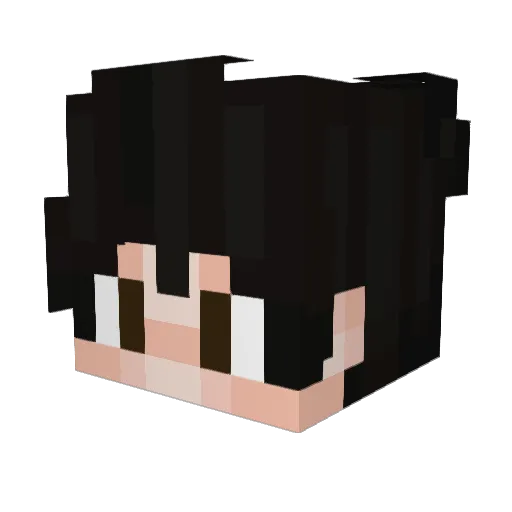 Mrooko Minecraft avatar head, 3D render