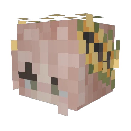 MroonJack Minecraft avatar head, 3D render