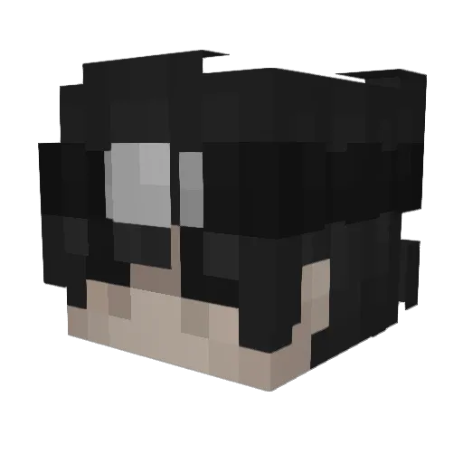Mrpetitdr Minecraft avatar head, 3D render