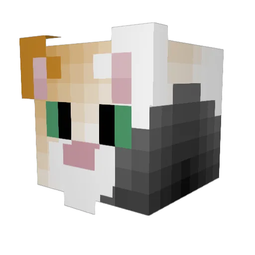 Mrpigz2 Minecraft avatar head, 3D render