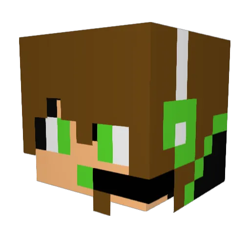 Mrpotatoa Minecraft avatar head, 3D render