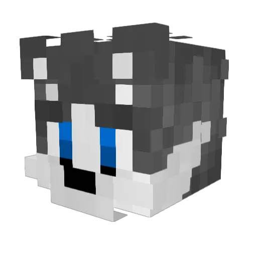 MrprzemoGaming Minecraft avatar head, 3D render