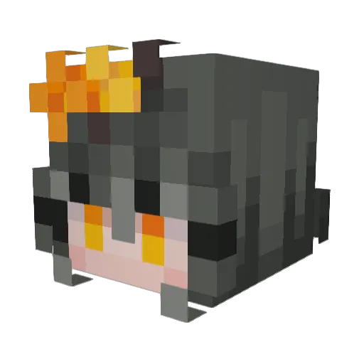 Mrrgan Minecraft avatar head, 3D render