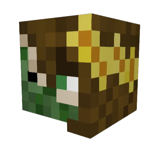 MrsBaggins Minecraft avatar head, 3D render