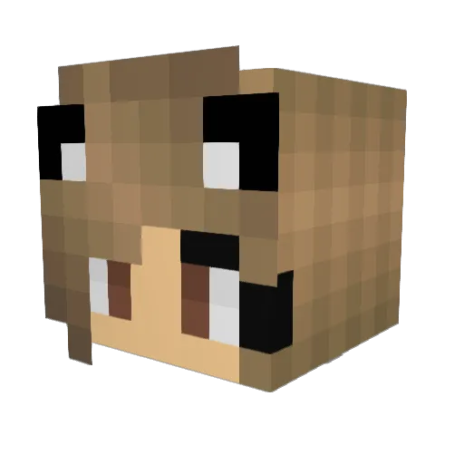 MrsCoin Minecraft avatar head, 3D render