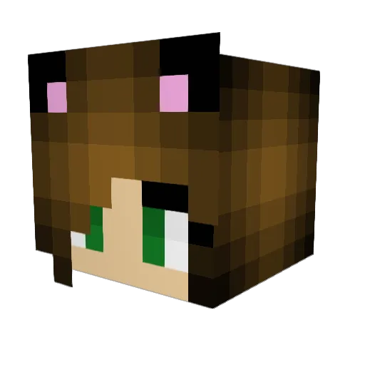 MrsDrOrbenstein Minecraft avatar head, 3D render