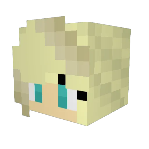 MrsFondue Minecraft avatar head, 3D render
