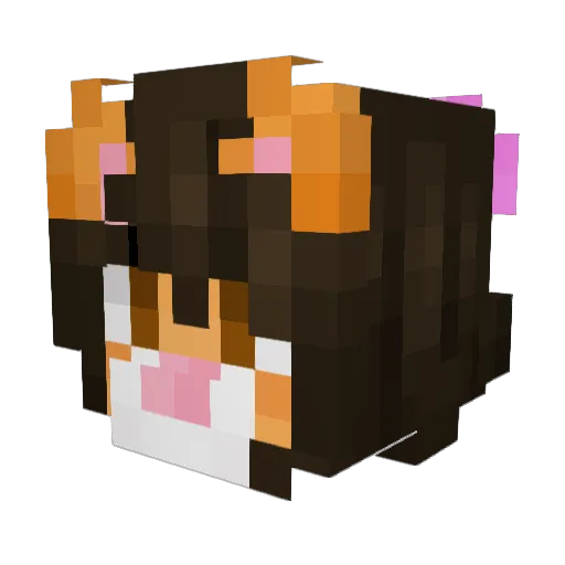 MrsFoo2002 Minecraft avatar head, 3D render
