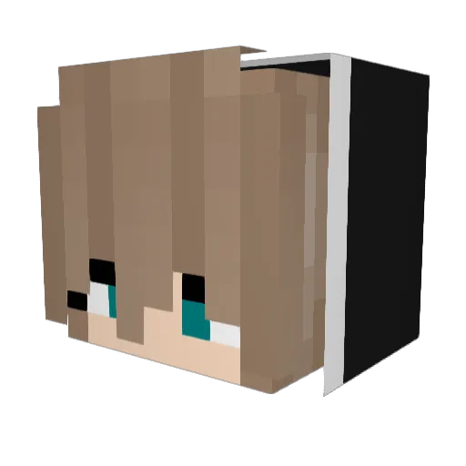 MrsGongole Minecraft avatar head, 3D render